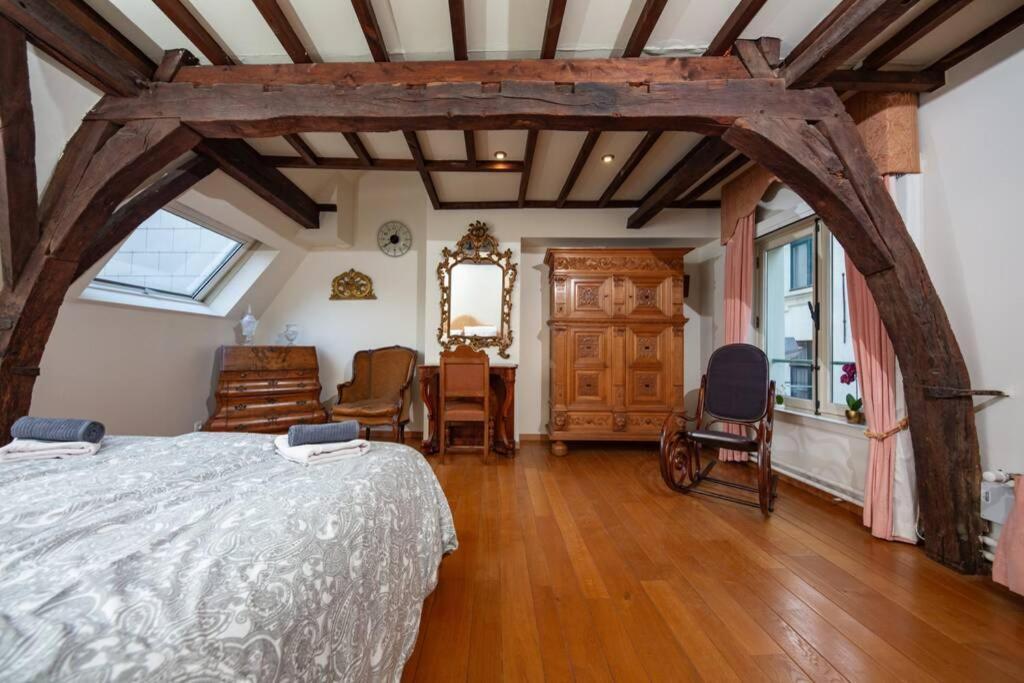 Hofmarkgraaf - Unique Apartment In Historic Antwerp Mansion Εξωτερικό φωτογραφία